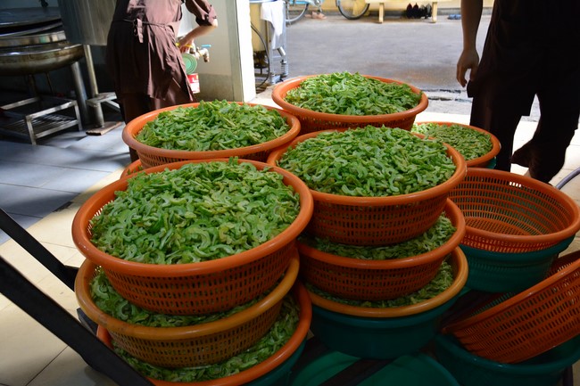 The 1st Three-Jewel Refuge Ceremony in 2021